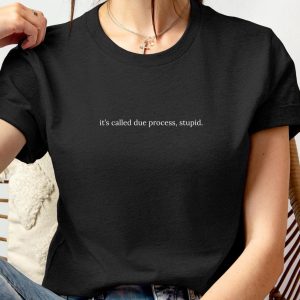 It's Called Due Process Stupid T-Shirt, Anti-Trump Shirt, Anti-Maga Tee, Anti-Fascism Shirt, Civil Rights Shirt, Human Rights Shirt, Resist